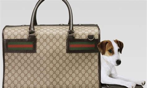 accessori gucci per cani|Gucci Pet .